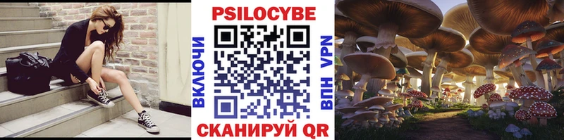 Галлюциногенные грибы прущие грибы  Новомичуринск 